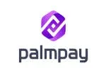 PalmPay Nigeria company icon
