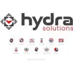 HYDRA SOLUTIONS LTD company icon