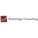 NainBridge Consult Ltd company icon
