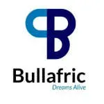 Bullafric Ltd company icon