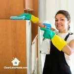 Clear Lake Maids company icon