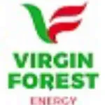 VIRGIN FOREST ENERGY LIMITED company icon