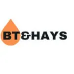BT & Hays Consulting company icon