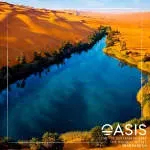 Oasis Peak Solutions Limited company icon