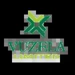 Vuzela Consulting company icon
