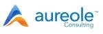 aureole consulting company icon